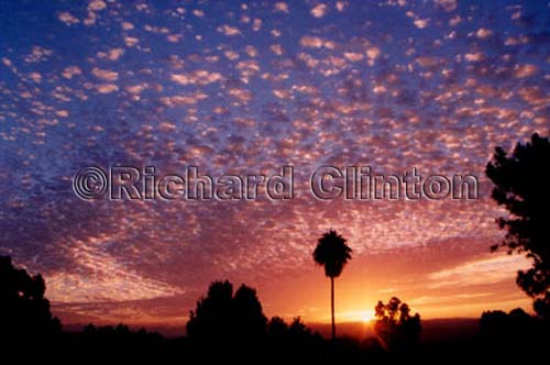 SJC-Sunrise-from-deck