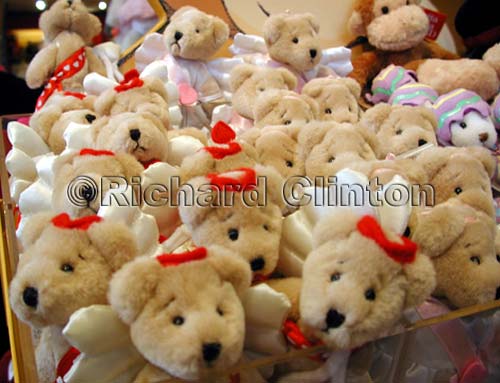 dscn6473AnaheimBears