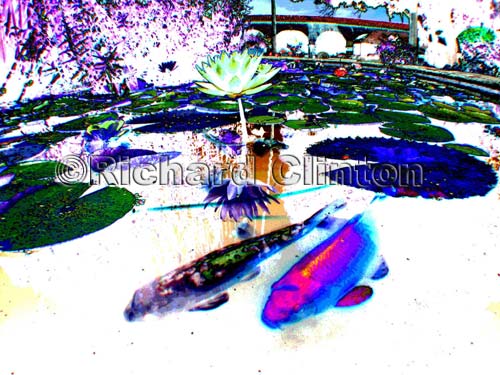 5927twoFishSolarizedNegPost